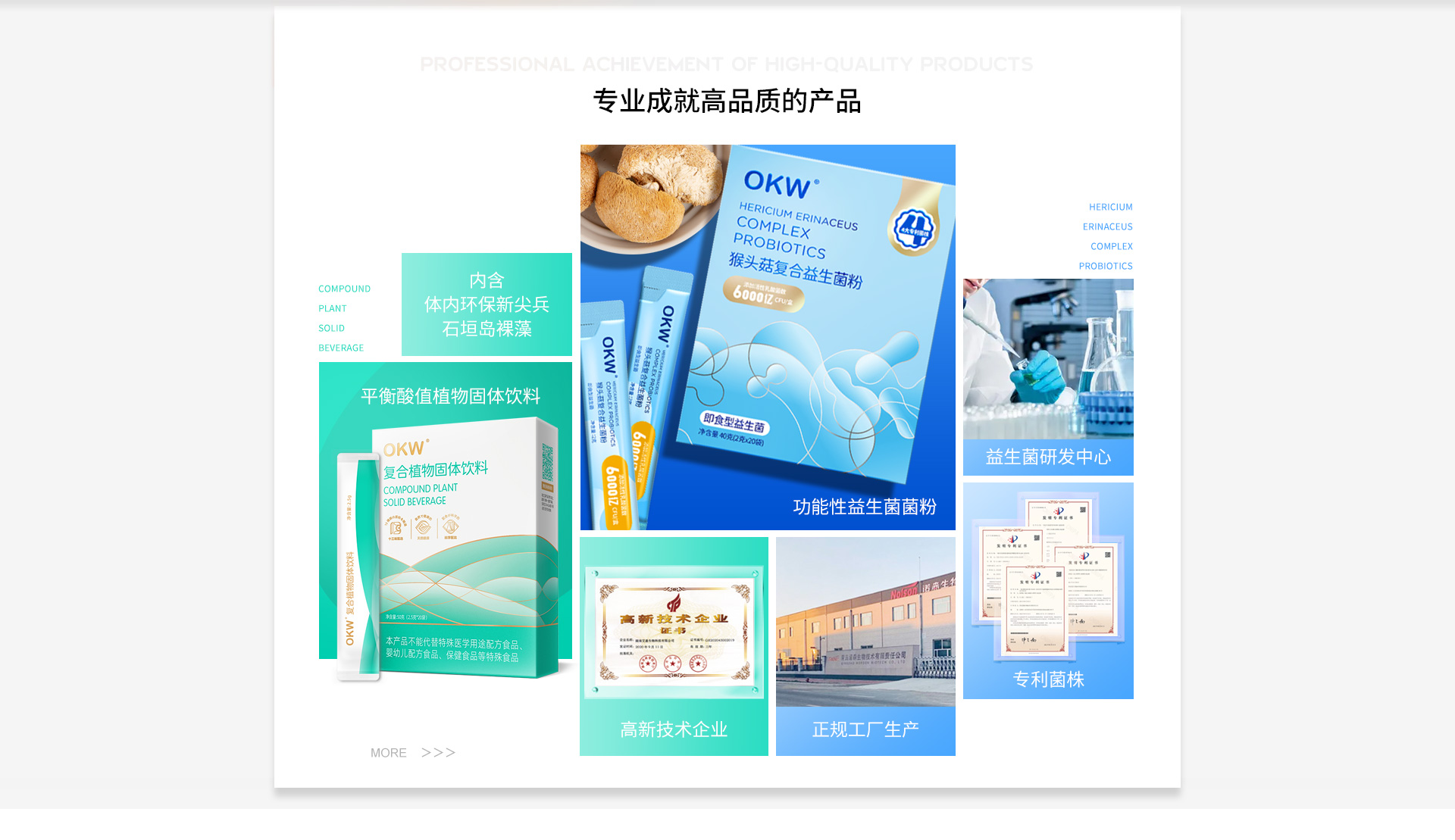 OKW品牌介绍